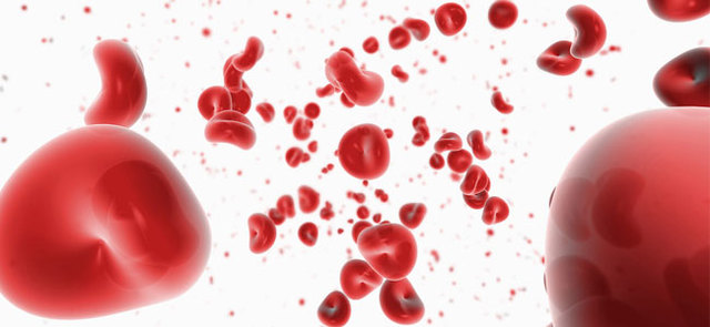 Grupos sanguineos humanos