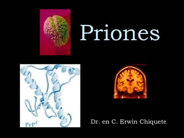 PRIONES