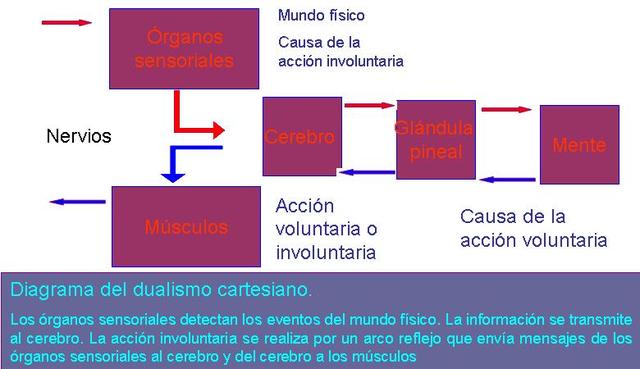 RENÉ DESCARTES(teoría del dualismo 1596-1650)
