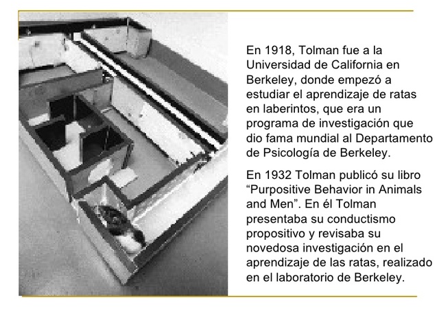 EDWARD TOLMAN(1919 instala laboratorio de ratas, 1922 conductismo por positivo de Tolman)