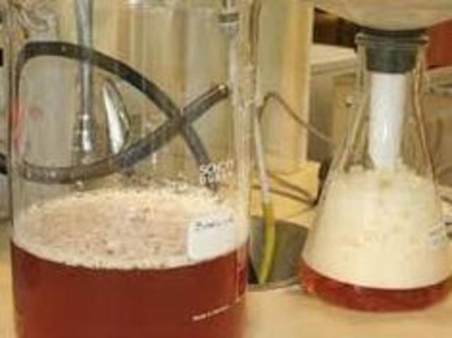 PRIMEROS EXPERIMENTOS CON MICROORGANIMOS PARA LA FERMENTACION