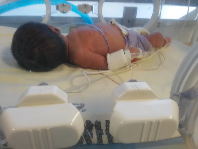 Día de su nacimiento