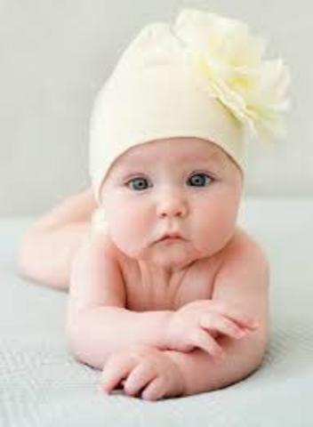 Paola Castro Cortés