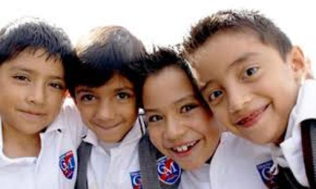 Estudios  Básica Primaria