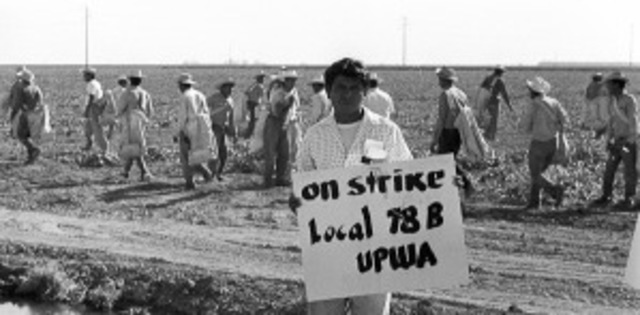 Braceros Go on Strike