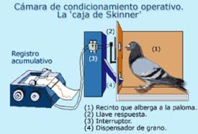 TEOLOGIA DE LA ENSEÑANZA