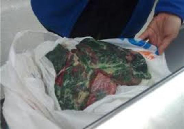 POSTULADO DE LA GENERACION EXPONTANEA