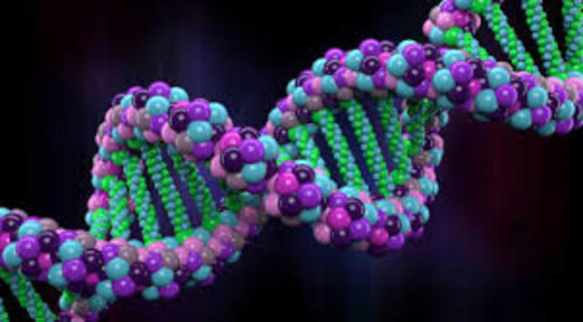 ESTRUCTURA TRIDIMENSIONAL DE ADN