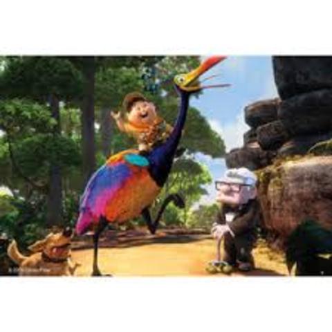 Russell finds a big bird and names it kevin