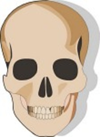 Rising action 1- Conflict- Magda dies