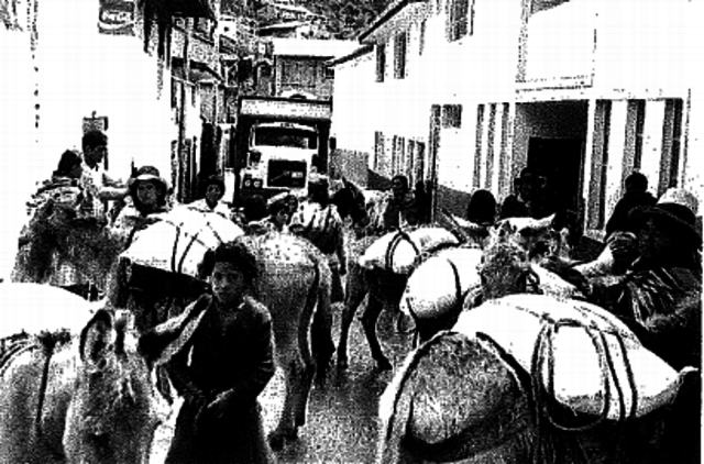 Irene arrived in Peru