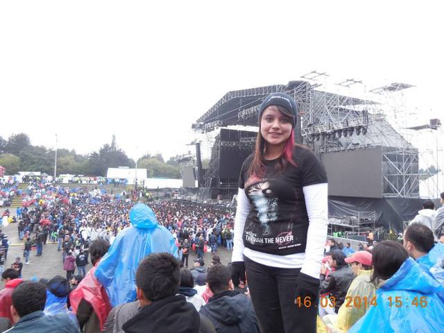 concierto de metallica