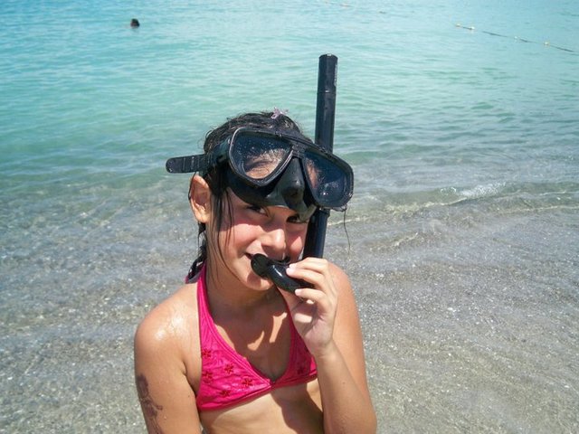 I saw fish swimming in the water.