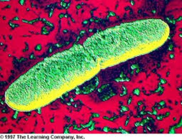 Shibasaburo Kitasato y Alexandre Yersin