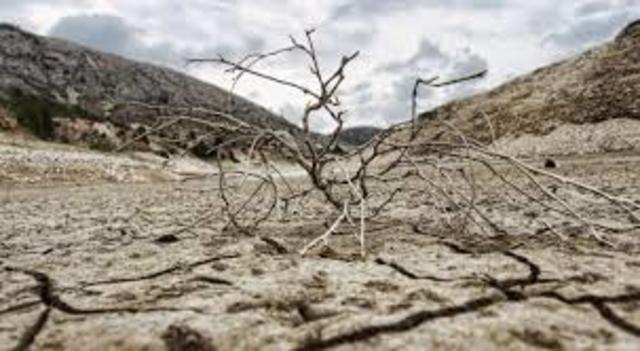 Crisis agroexportadora y programa de estabilizacion