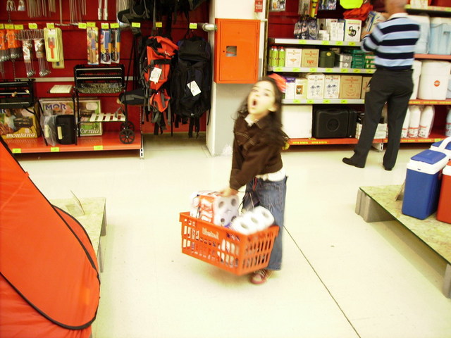 I couldn't hold the shopping cart.