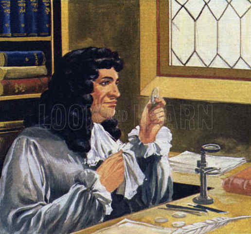 microscopio que permite observar animálculos,van Leeuwenhoek