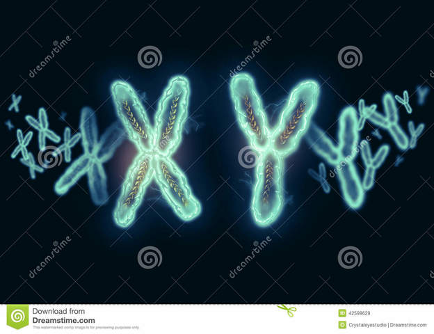 Caracteristicas fenotipicas