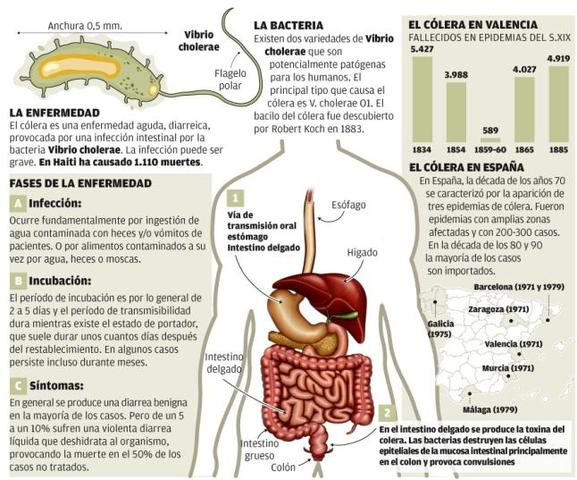 PRIMER ESTUDIO EPIDEMIOLOGICO DEL COLERA
