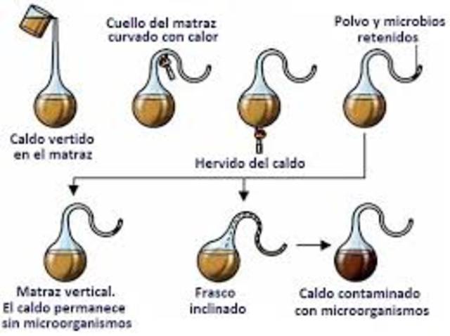 TEORIA DE LA GENERACION ESPONTANEA