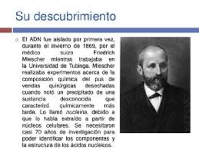 DESCUBRIMIENTO ADN