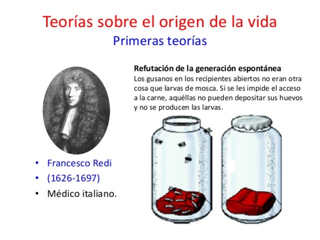 teoría de la generación espontánea en gusanos.