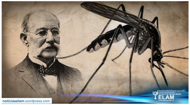 Carlos Finlay observa que la fiebre amarilla es transmitida por mosquitos.