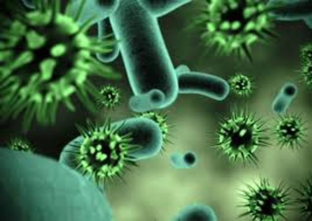 se describe el asma alergica y la teoria de inmunidad adquirida