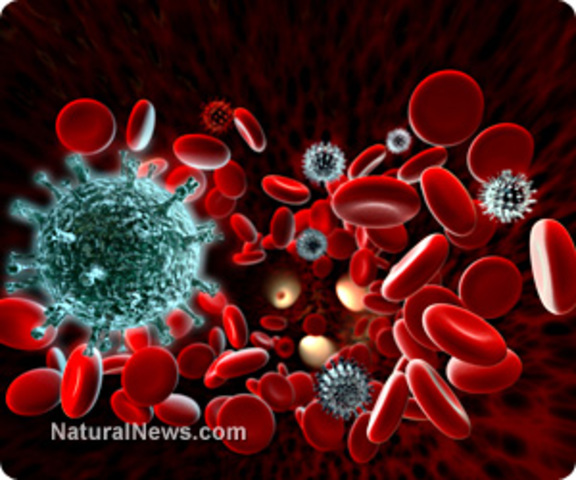 Elías Metchnikoff fagositosis inmunidad celular