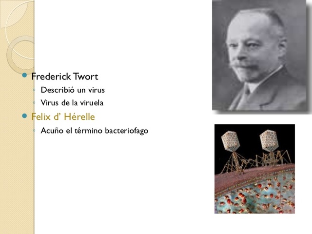 Félix d'Herelle descubre más virus bacteriófagos.