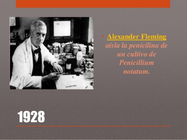 Alexander Fleming aísla la penicilina de un cultivo de Penicillium notatum.