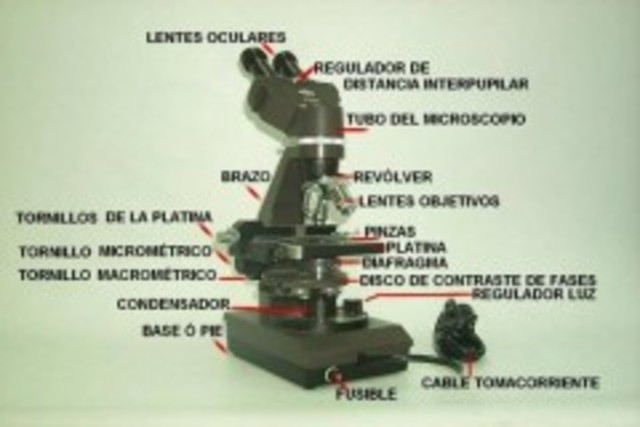 Frits Zernike desarrolla el microscopio de contraste de fases que permite ver microorganismos vivos.