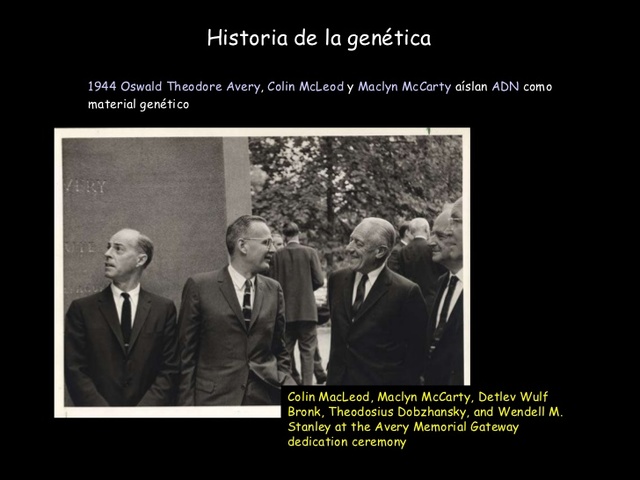 Oswald Avery, Colin MacLeod y Maclyn McCarty demuestran que el DNA es el material genético.