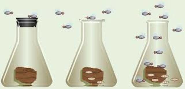 teoría de la generación espontánea en microorganismos. Spallanzani