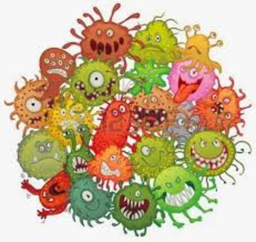 microorganismos