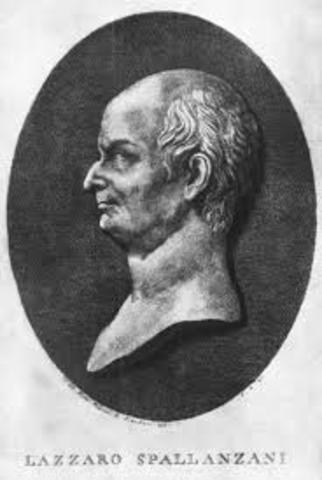 Spallazani