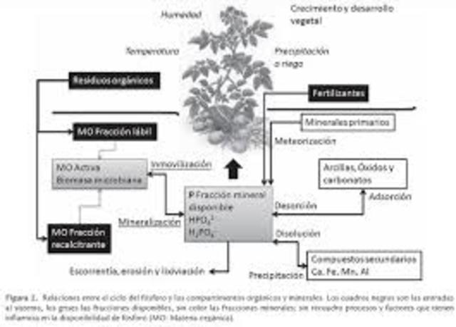 Jean Jacques Theophile Schloesing y Achille Muntz