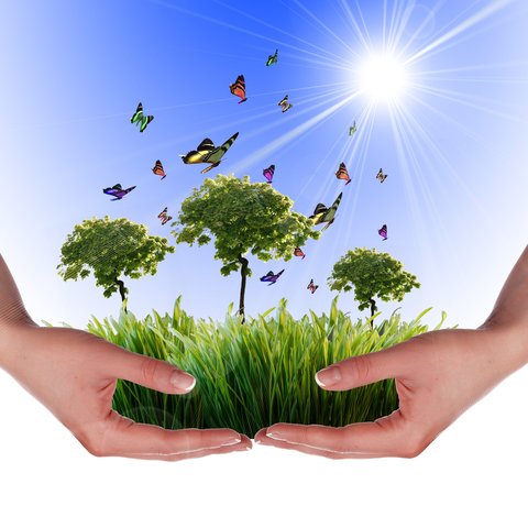 Conferencia de Naciones unidas sobre el medio Humano.