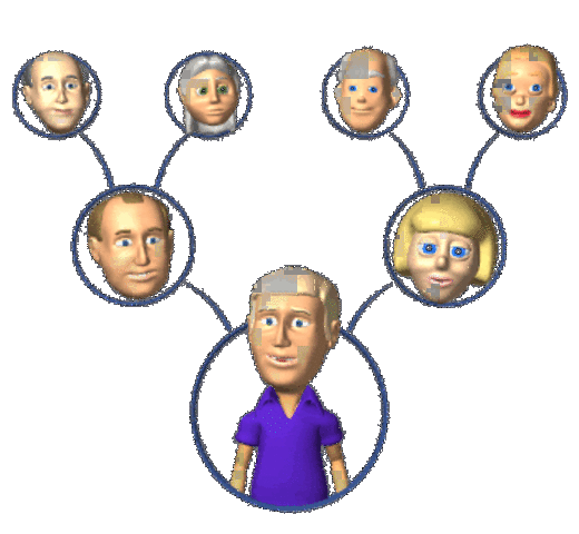 Fenotipos y genotipos