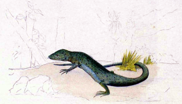 Creación de límites Colombia-Venezuela