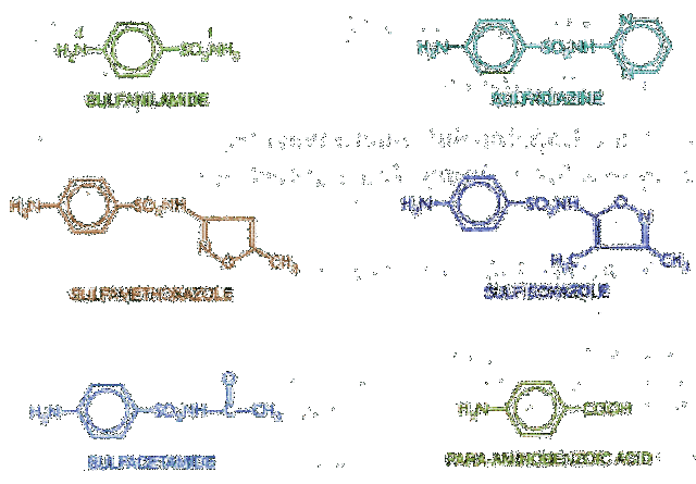 Sufamidas, el primer agente quimioterapeútico. Domagk