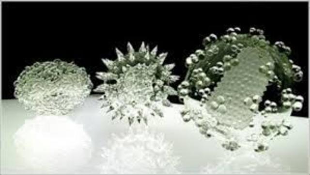 Femeno de la lisogenia. André Michel