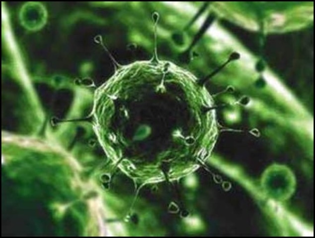 descubrimiento del virus del sida