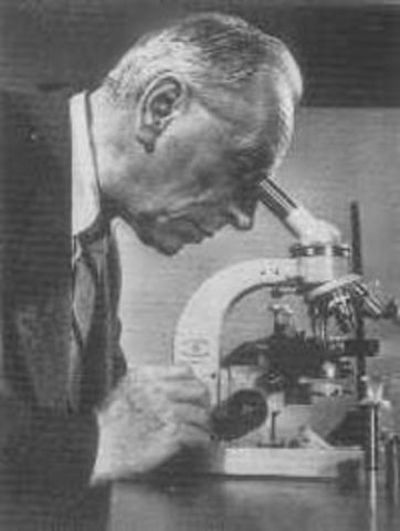 desarrollo del microscopio de contraste