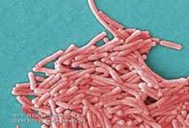 Secuencia del genoma de Legionelia pneumophila. el microorganismo productor de la enfermedad de los legionarios