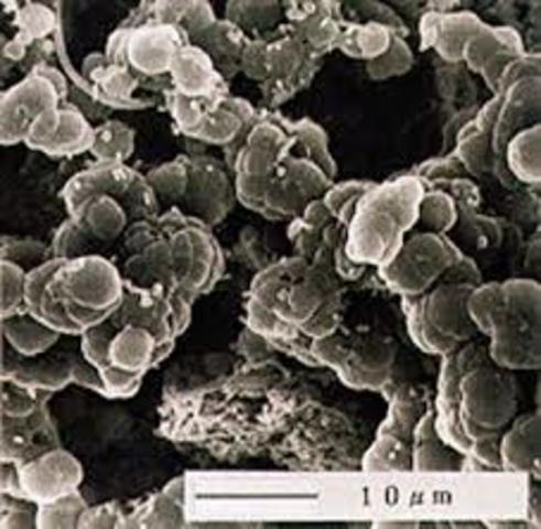 Reconocen archeas tercer dominio seres vivos