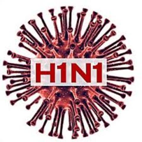 Gripe H1N1