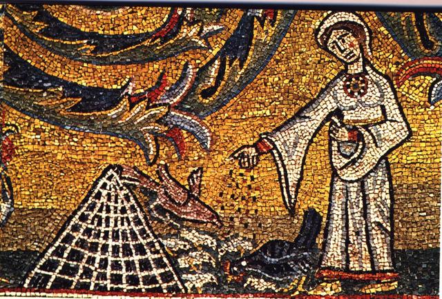 ENSEÑANZAS DE DISCIPLINAS UNIVERSITARIAS