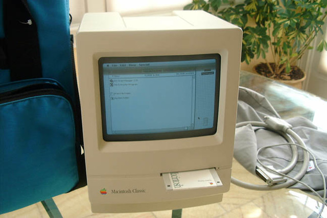 My Senior Thesis was due.