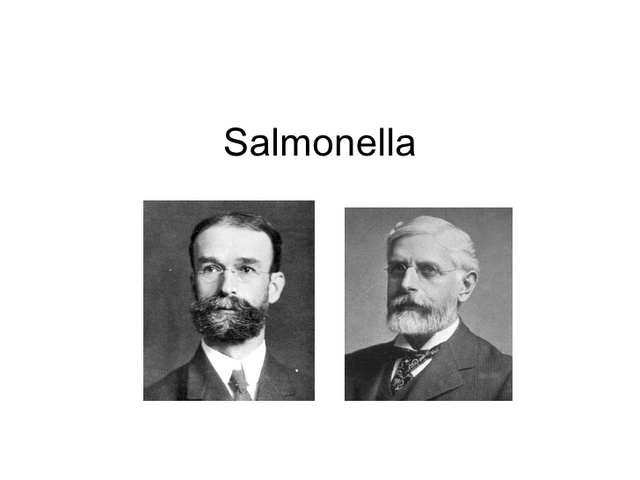 salmon y theobald smith  desarrollaron vacunas efectivas con microorganismos muertos